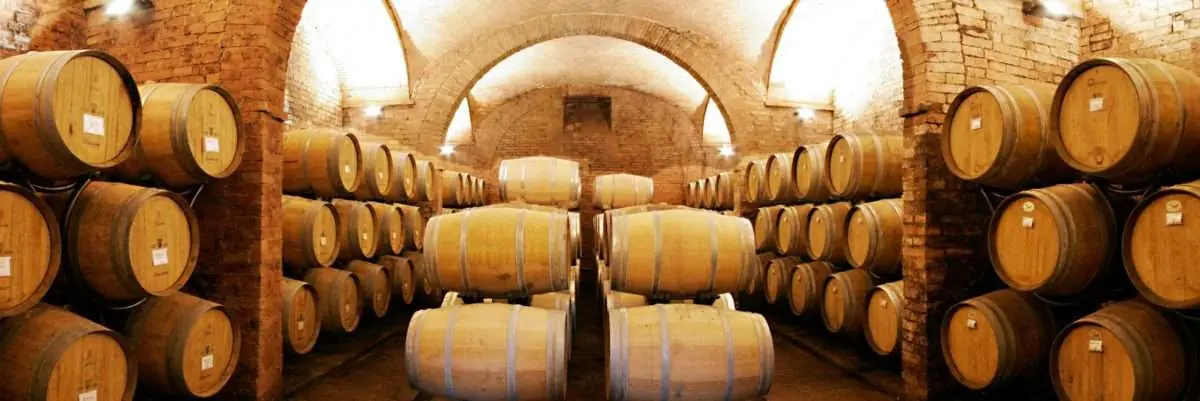 villa-s-anna_villa-s-anna-wine-barrels-scaled_ozol2x-1200x401-1