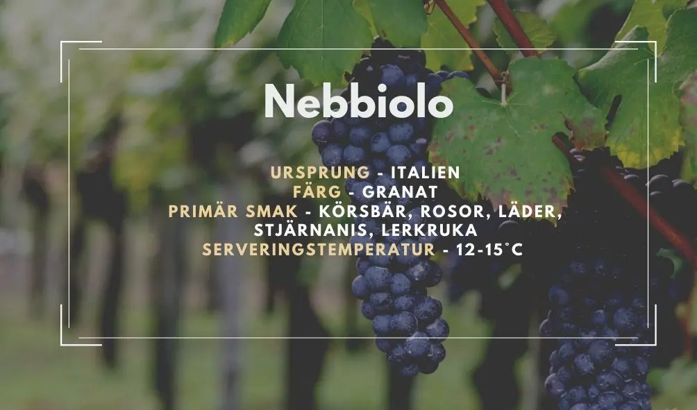 Allmän information om Nebbiolo